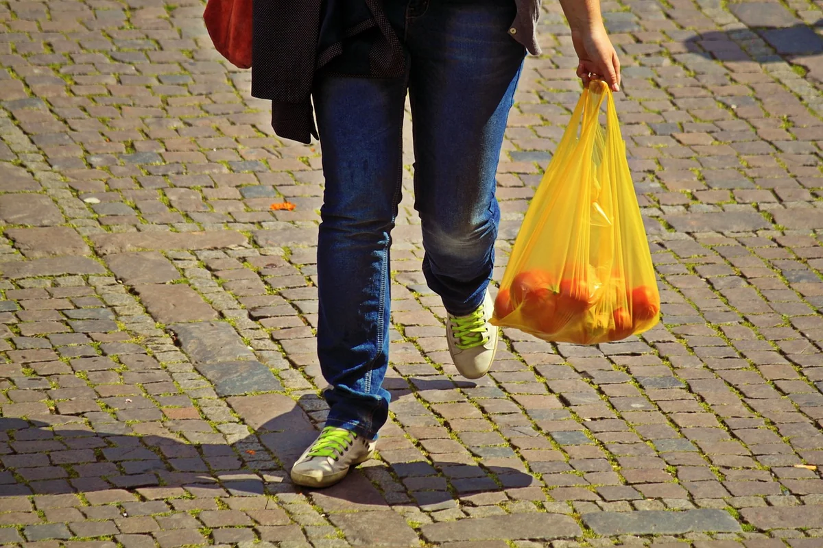 shopping, supply, wear, market buying, purchasing, bag, plastic bag, pocket, fruit bag, legs, human, walk, running, hand, load, heavy, paving stones, marketplace, side walk, shopping bag, plastic bag, plastic bag, plastic bag, plastic bag, plastic bag - best reusable grocery bags for heavy loads