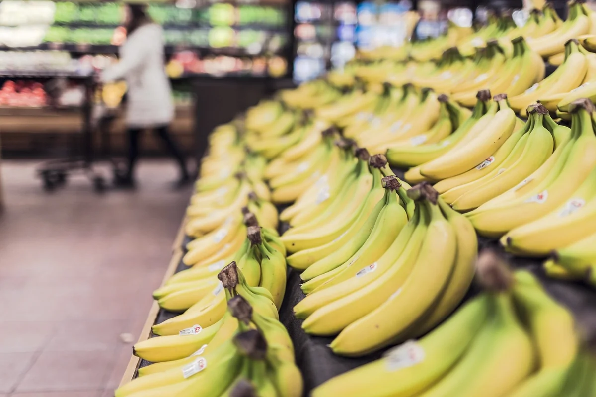bananas, fruits, food, grocery store, supermarket, shopping, produce, organic, grocery shopping, fruit stand, yellow bananas, bananas, bananas, bananas, bananas, grocery store, grocery store, grocery store, supermarket, supermarket, supermarket, supermarket, supermarket, shopping, shopping, shopping, shopping - best reusable grocery bags for heavy loads