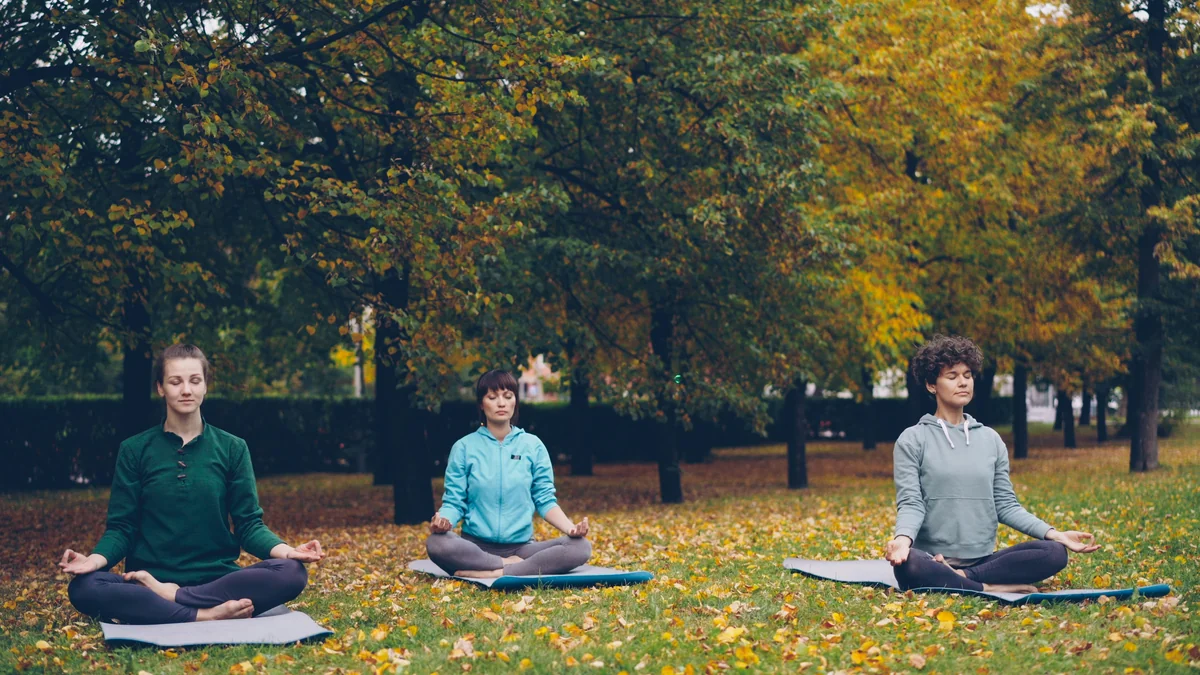 Pretty young women are relaxing sitting in lotus position on yoga mats in park and breathing fresh air resting after outdoor group practice. Meditation and nature concept. - meditation wellness relaxation - top rated yoga mats for high intensity workouts